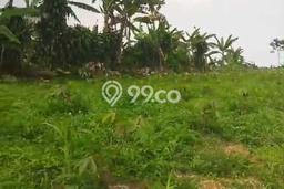Tanah Lokasi Strategis di Parakan Salak, Luas 130000m2m², Lingkungan Nyaman, Akses Parakan Salak, Sukabumi, Sukabumi Tanah Lokasi Strategis di Parakan Salak, Luas 130000m2m², Lingkungan Nyaman, Akses Parakan Salak, Sukabumi, Sukabumi