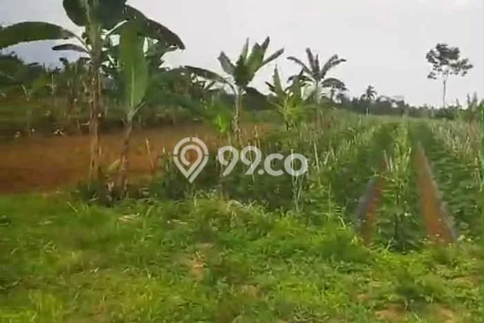 Tanah Lokasi Strategis di Parakan Salak, Luas 130000m2m², Lingkungan Nyaman, Akses Parakan Salak, Sukabumi, Sukabumi Tanah Lokasi Strategis di Parakan Salak, Luas 130000m2m², Lingkungan Nyaman, Akses Parakan Salak, Sukabumi, Sukabumi