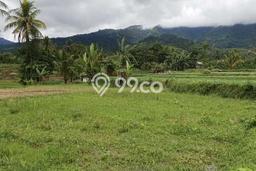 Tanah Strategis Dijual di Cidahu Sukabumi 40000m2 Tanah Strategis Dijual di Cidahu Sukabumi 40000m2