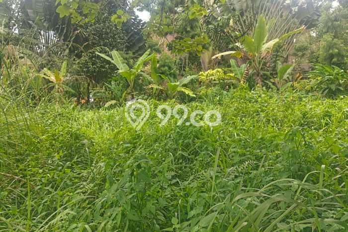 Tanah Kavling Dijual di Bogor dengan Spesifikasi 630m2 Tanah Kavling Dijual di Bogor dengan Spesifikasi 630m2