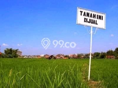 Lahan Dijual Lokasi Strategis di Buleleng dengan Luas 2750m2 Lahan Dijual Lokasi Strategis di Buleleng dengan Luas 2750m2