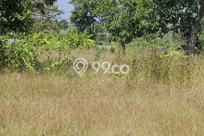 Tanah Kavling di Wonoayu Sidoarjo Disewakan dengan Luas 48000m2 Tanah Kavling di Wonoayu Sidoarjo Disewakan dengan Luas 48000m2
