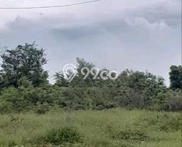 Jarang Ada! Tanah di Manyar Punya Luas 140000m2 - Jarang Ada! Tanah di Manyar Punya Luas 140000m2 -