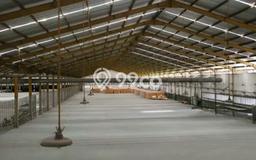 Pabrik Dijual Lokasi Emas di Cerme Luas 12000m2 Pabrik Dijual Lokasi Emas di Cerme Luas 12000m2