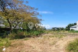 Tanah Kavling di Rembang Dijual dengan Luas 5996m2 Tanah Kavling di Rembang Dijual dengan Luas 5996m2