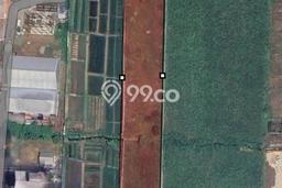 Tanah Komersial Disewakan di Kedamean Gresik Seluas 14000m2 Tanah Komersial Disewakan di Kedamean Gresik Seluas 14000m2