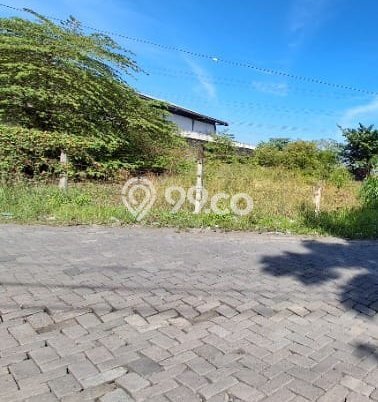 Kavling Tanah Dijual di Menganti Gresik Spesifikasi 5000m2 Kavling Tanah Dijual di Menganti Gresik Spesifikasi 5000m2