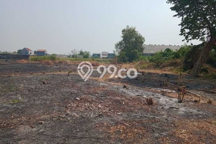 Tanah Kavling untuk Dijual di Menganti Gresik 6000m2 Tanah Kavling untuk Dijual di Menganti Gresik 6000m2