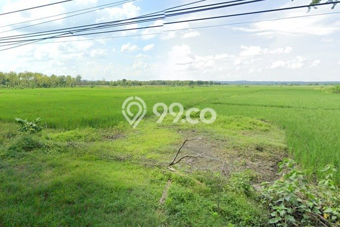 Tanah di Rembang, Pasuruan Luas 5996m2 Dijual Segera Tanah di Rembang, Pasuruan Luas 5996m2 Dijual Segera