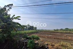 Disewakan Tanah Lokasi Strategis di Manyar Gresik 5000m2 Disewakan Tanah Lokasi Strategis di Manyar Gresik 5000m2