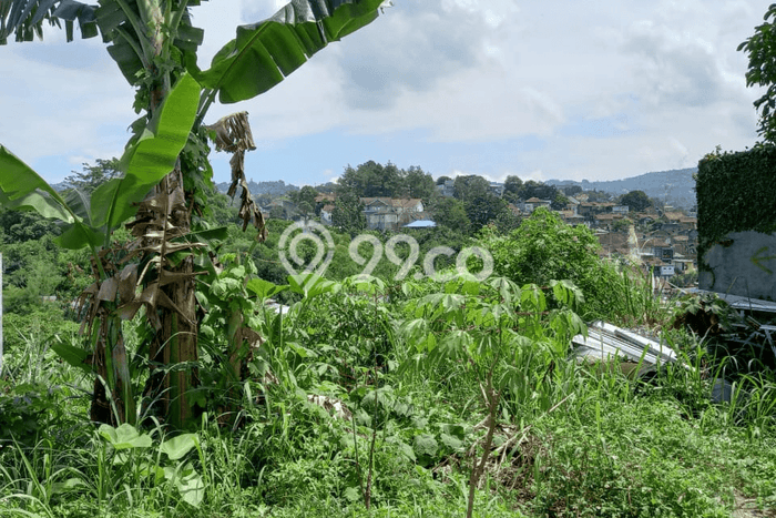 Tanah Dijual di Bandung Seluas 308m2 Strategis Tanah Dijual di Bandung Seluas 308m2 Strategis