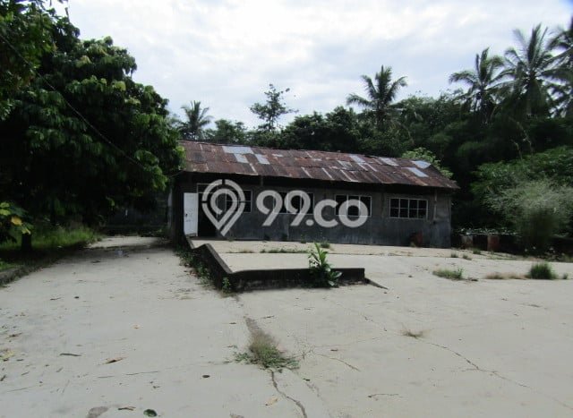 Dijual Tanah di Pesawaran, Luas 7278m2 - Dijual Tanah di Pesawaran, Luas 7278m2 -