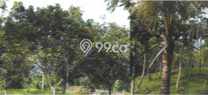 Dijual Tanah Lokasi Cianjur Kota, Cianjur Seluas 194595m2 Dijual Tanah Lokasi Cianjur Kota, Cianjur Seluas 194595m2