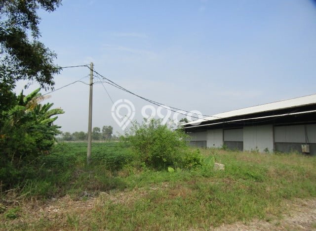 Kavling Tanah Dijual di Gunung Sugih Lampung Tengah Spesifikasi 36025m2 Kavling Tanah Dijual di Gunung Sugih Lampung Tengah Spesifikasi 36025m2