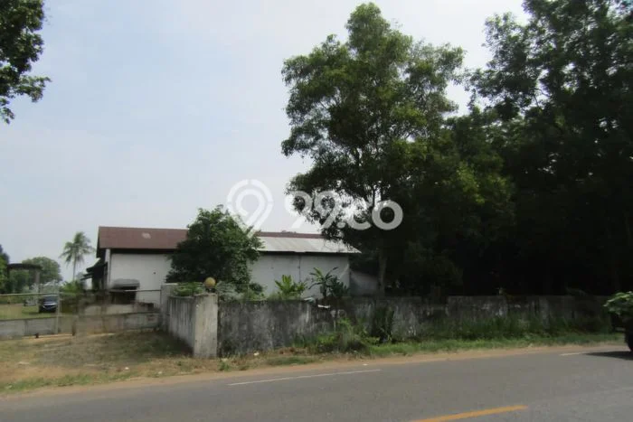 Kavling Tanah Dijual di Gunung Sugih Lampung Tengah Spesifikasi 36025m2 Kavling Tanah Dijual di Gunung Sugih Lampung Tengah Spesifikasi 36025m2