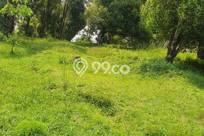 Tanah untuk Dijual Lokasi Bogor Selatan, Bogor Luas 34278m2 SHM Tanah untuk Dijual Lokasi Bogor Selatan, Bogor Luas 34278m2 SHM