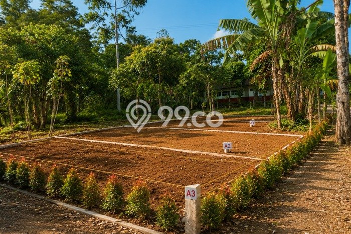 Lahan untuk Dijual di Ciparay Bandung Luas 197m2 Lahan untuk Dijual di Ciparay Bandung Luas 197m2
