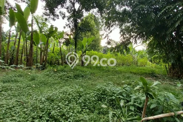Tanah Strategis Dijual di Bogor Selatan Bogor 1842m2 Tanah Strategis Dijual di Bogor Selatan Bogor 1842m2