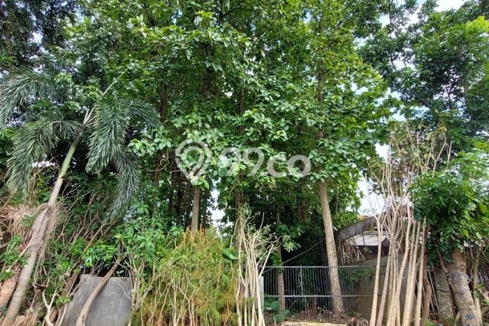 Tanah Kavling Dijual di Meruya, Jakarta Barat dengan Luas Tanah 250m2 Tanah Kavling Dijual di Meruya, Jakarta Barat dengan Luas Tanah 250m2