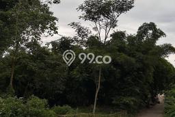 Tanah untuk Dijual Lokasi Pacet, Kabupaten Bandung Luas 27860m2 AJB Tanah untuk Dijual Lokasi Pacet, Kabupaten Bandung Luas 27860m2 AJB