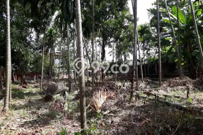 Tanah Dijual di Jakarta Timur Seluas 1498m2 Strategis Tanah Dijual di Jakarta Timur Seluas 1498m2 Strategis