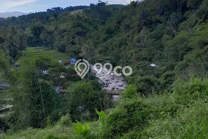 Tanah Komersial Dijual di Sukaresmi Cianjur 12835m2 Tanah Komersial Dijual di Sukaresmi Cianjur 12835m2