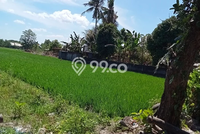 Tanah Kawasan Kediri, Luas 6000m², Area Komersial Tanah Kawasan Kediri, Luas 6000m², Area Komersial