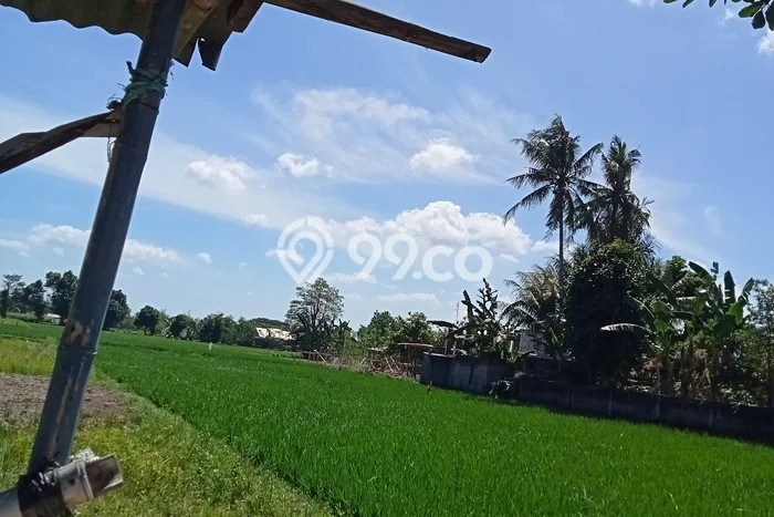 Tanah Kawasan Kediri, Luas 6000m², Area Komersial Tanah Kawasan Kediri, Luas 6000m², Area Komersial
