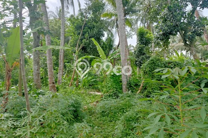 Lahan untuk Dijual di Lembar Lombok Barat Luas 21m2 Lahan untuk Dijual di Lembar Lombok Barat Luas 21m2