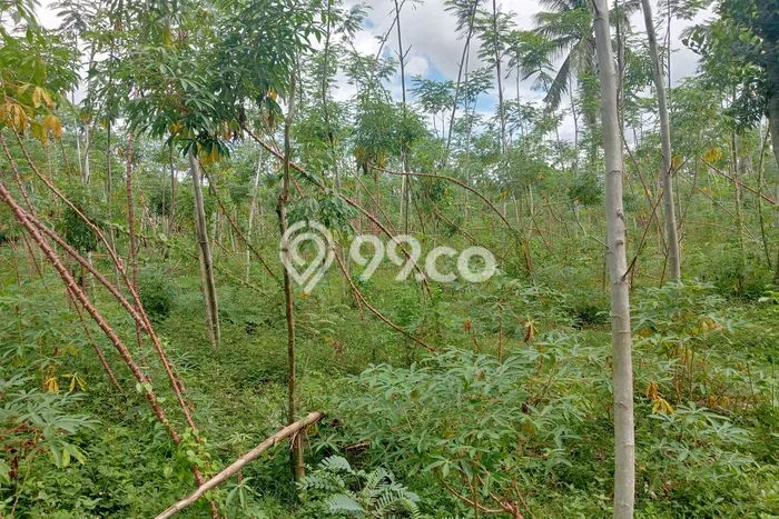Lahan untuk Dijual di Lembar Lombok Barat Luas 21m2 Lahan untuk Dijual di Lembar Lombok Barat Luas 21m2