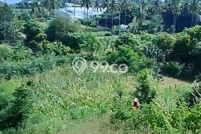 Lahan Strategis di Sekotong Dijual dengan Luas 59m2 Lahan Strategis di Sekotong Dijual dengan Luas 59m2