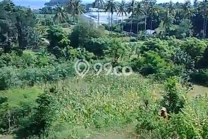 Lahan Strategis di Sekotong Dijual dengan Luas 59m2 Lahan Strategis di Sekotong Dijual dengan Luas 59m2