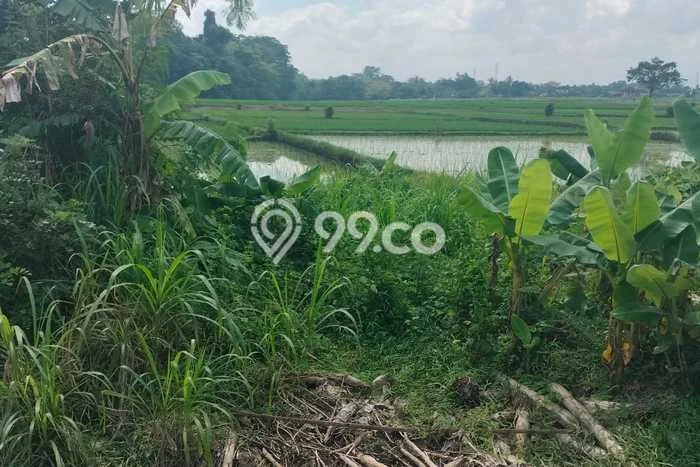 Tanah Dijual di Tabanan Seluas 210m2 Strategis Tanah Dijual di Tabanan Seluas 210m2 Strategis