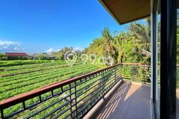 Disewakan Rumah Konsep Modern di Ubud Gianyar dengan 2 KT Disewakan Rumah Konsep Modern di Ubud Gianyar dengan 2 KT