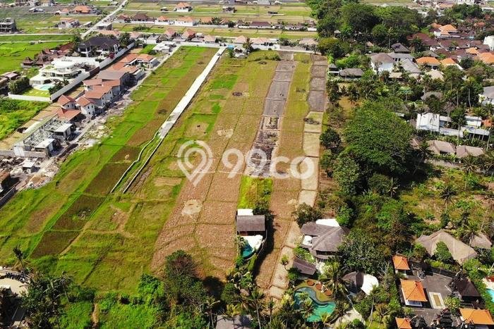Tanah Disewakan Lokasi Badung Seluas 500m2 Strategis dan Aman Tanah Disewakan Lokasi Badung Seluas 500m2 Strategis dan Aman