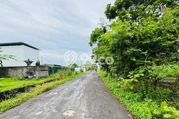 Untuk Dijual Tanah di Tabanan Tabanan Luas 2265m2 SHM Untuk Dijual Tanah di Tabanan Tabanan Luas 2265m2 SHM