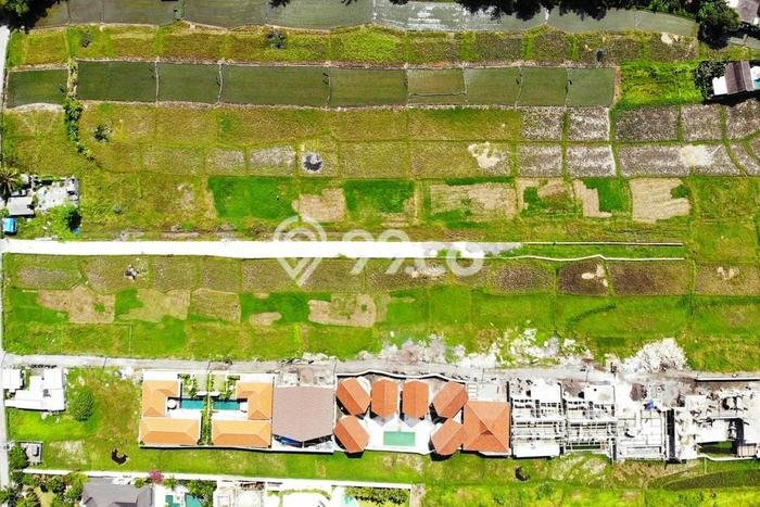 Tanah Disewakan Lokasi Badung Seluas 500m2 Strategis dan Aman Tanah Disewakan Lokasi Badung Seluas 500m2 Strategis dan Aman
