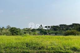 Tanah Investasi Dijual di Bandung Punya Luas 949m2 Tanah Investasi Dijual di Bandung Punya Luas 949m2