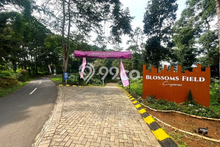 Dijual Tanah di Cipanas Cianjur Luas 120m2 SHM Dijual Tanah di Cipanas Cianjur Luas 120m2 SHM