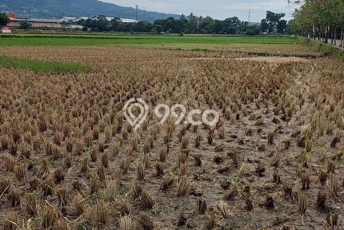 Dijual Tanah Kawasan Bisnis di , Luas 35000m2m², Prospek Tinggi Dijual Tanah Kawasan Bisnis di , Luas 35000m2m², Prospek Tinggi