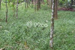 Tanah Kavling Dijual di Purwakarta dengan Spesifikasi 7540m2 Tanah Kavling Dijual di Purwakarta dengan Spesifikasi 7540m2