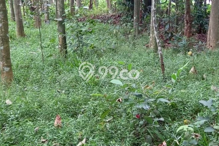 Tanah Kavling Dijual di Purwakarta dengan Spesifikasi 7540m2 Tanah Kavling Dijual di Purwakarta dengan Spesifikasi 7540m2