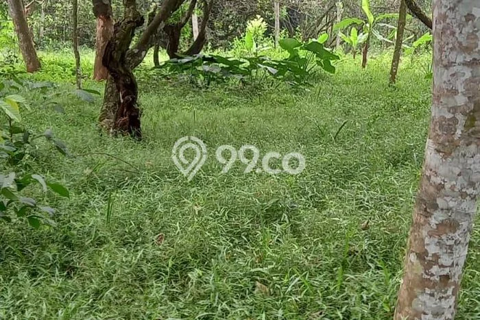 Tanah Kavling Dijual di Purwakarta dengan Spesifikasi 7540m2 Tanah Kavling Dijual di Purwakarta dengan Spesifikasi 7540m2
