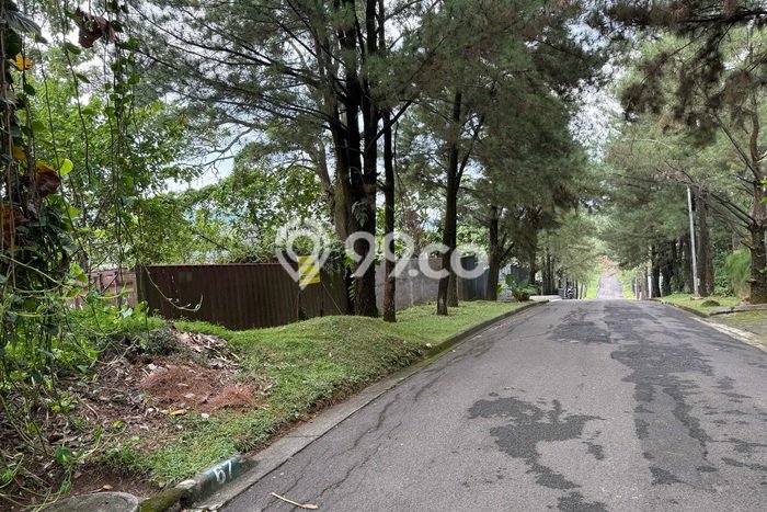Dijual Tanah di Bogor, Luas 1600m2 - Dijual Tanah di Bogor, Luas 1600m2 -