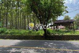 Dijual Tanah 150000m2 di Pelabuhan Ratu, Sukabumi Dijual Tanah 150000m2 di Pelabuhan Ratu, Sukabumi