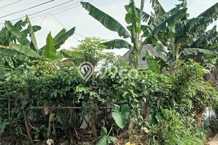 Tanah Dijual Lokasi Strategis di Bogor dengan Luas 320m2 Tanah Dijual Lokasi Strategis di Bogor dengan Luas 320m2