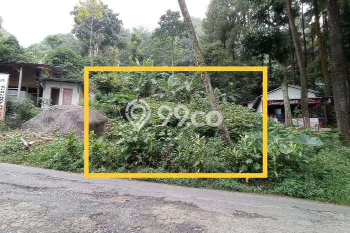 Tanah untuk Disewakan di Babakan Madang Bogor - Tanah untuk Disewakan di Babakan Madang Bogor -