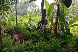 Lahan Dijual Lokasi Dramaga, Bogor dengan Luas Tanah 5500m2 dan Status SHM Lahan Dijual Lokasi Dramaga, Bogor dengan Luas Tanah 5500m2 dan Status SHM