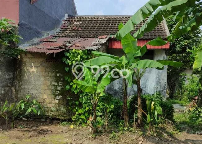 Rumah Terjangkau Dijual di Ciomas, Bogor Harga Rp 450 Juta Rumah Terjangkau Dijual di Ciomas, Bogor Harga Rp 450 Juta