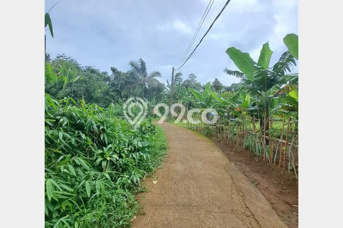 Kavling Tanah di Cijeruk Dijual Luas 1032m2 Legalitas SHM Kavling Tanah di Cijeruk Dijual Luas 1032m2 Legalitas SHM